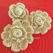 Fionitta Crochet Flowers